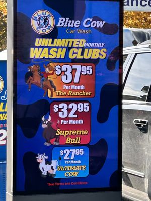 Blue Cow Car Wash